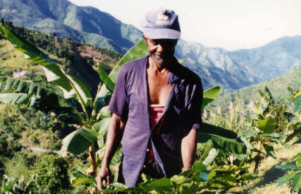 A worker stands with the coffee beans of the estate.