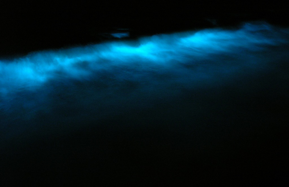 The bioluminescent waters are straight out of The Little Mermaid.