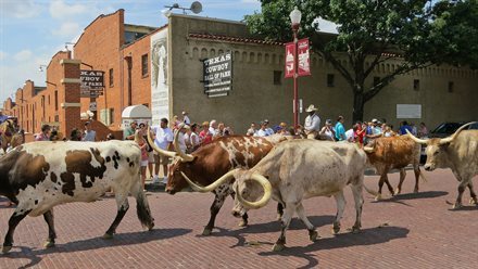 Rustling Up a Good Time Playing Cowboy In Fort Worth: Why You May Want to Choose This Texan City for Your Next Long Weekend Away | Frommer's