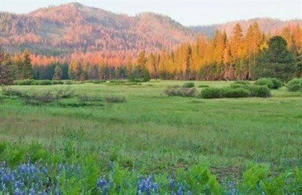 Yosemite National Park Expands | Frommer's