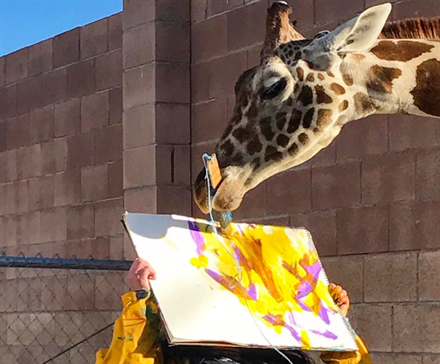 Meet Ozzie, the Only Giraffe in Nevada—And a Painter, Too | Frommer's
