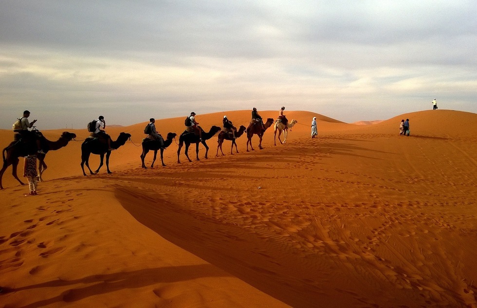 A camel safari in the desert