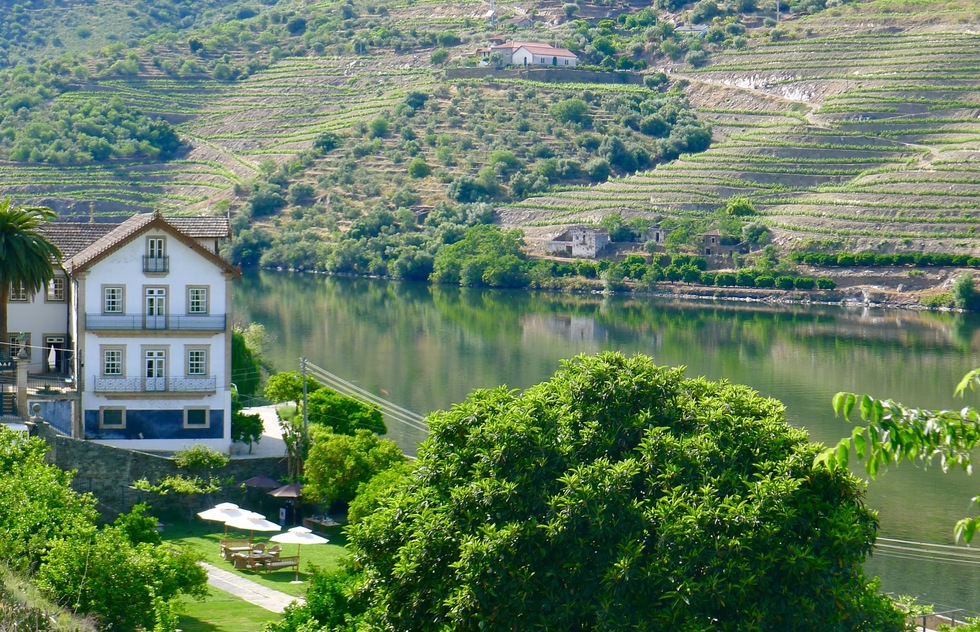 A gourmet train ride into Douro wine country