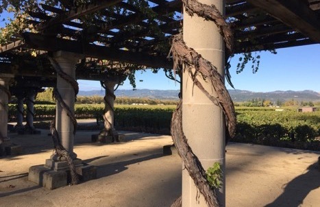 Wine Country Report: Despite Fires, Napa and Sonoma Visitor Experience is Undamaged | Frommer's