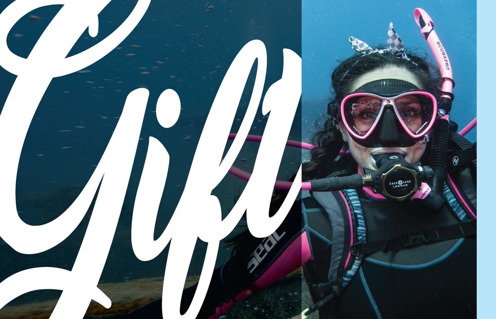 PADI eLearning course, from $179