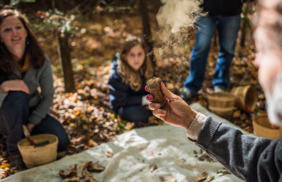 A foraging tour in the Blue Ridge Mountains of North Carolina
