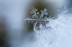 Snowflake closeup