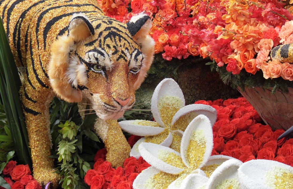 Chances to get up close at the Rose Parade