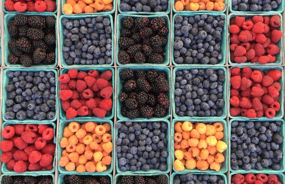Berries for sale in Los Angeles