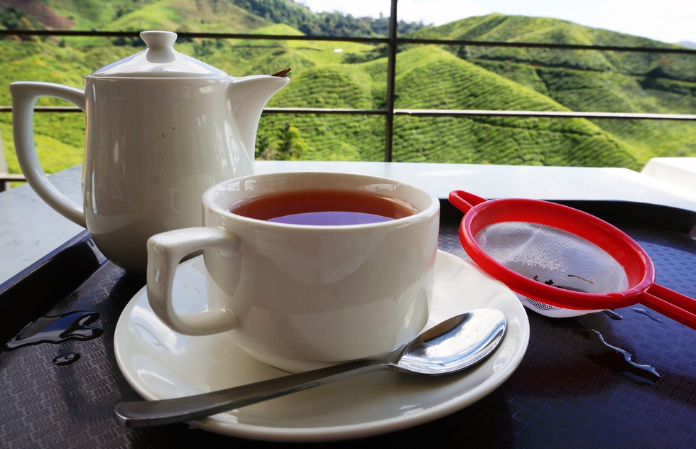 Have a cup of tea at Boh Sungai Palas