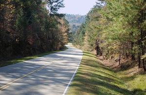 Road trip on the best section of the Natchez Trace Parkway