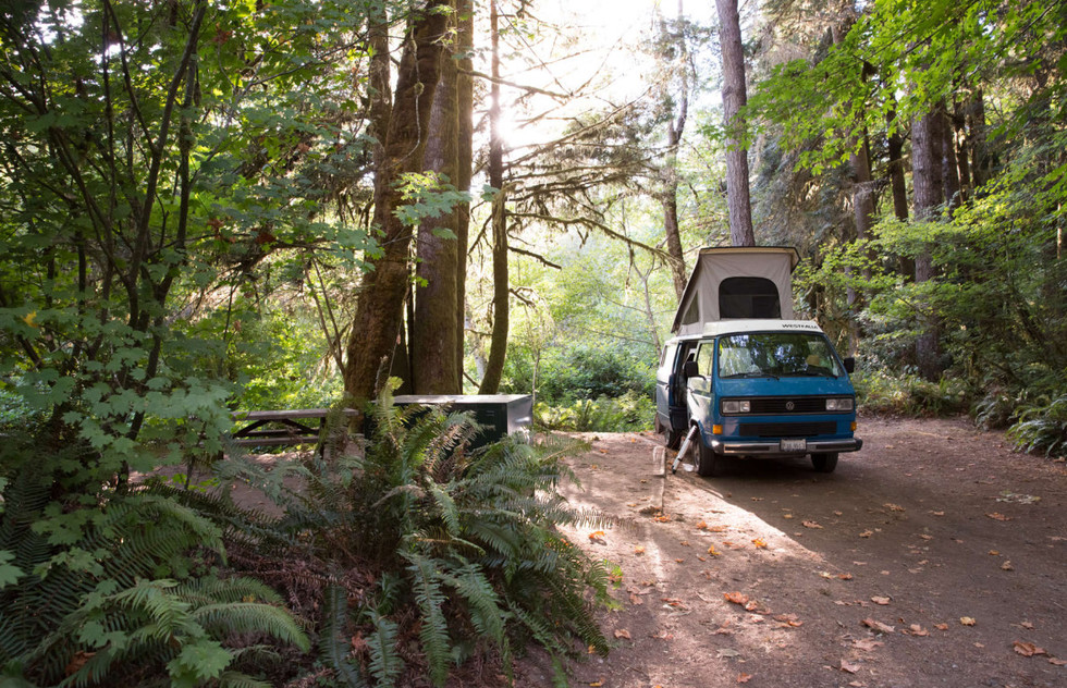Sleep under the redwoods canopy at one of two ideal campsites