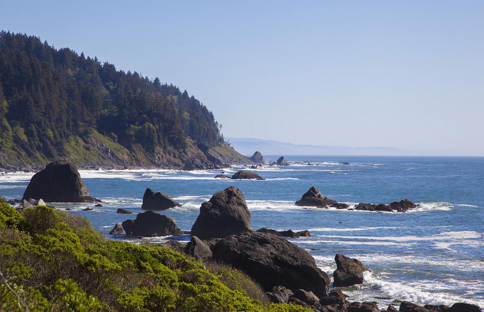 Trace the Pacific coast for epic redwood trees and seascapes