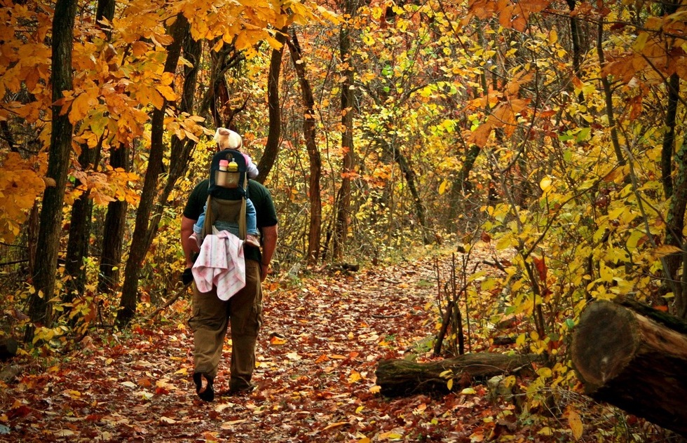 Fall foliage ideas: Shenandoah National Park, Virginia