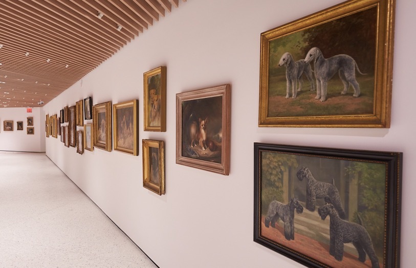 Museum of The Dog Learns New Tricks As It Returns to NYC | Frommer's