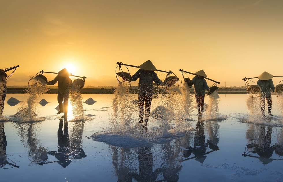 Salt harvesting in Vietnam