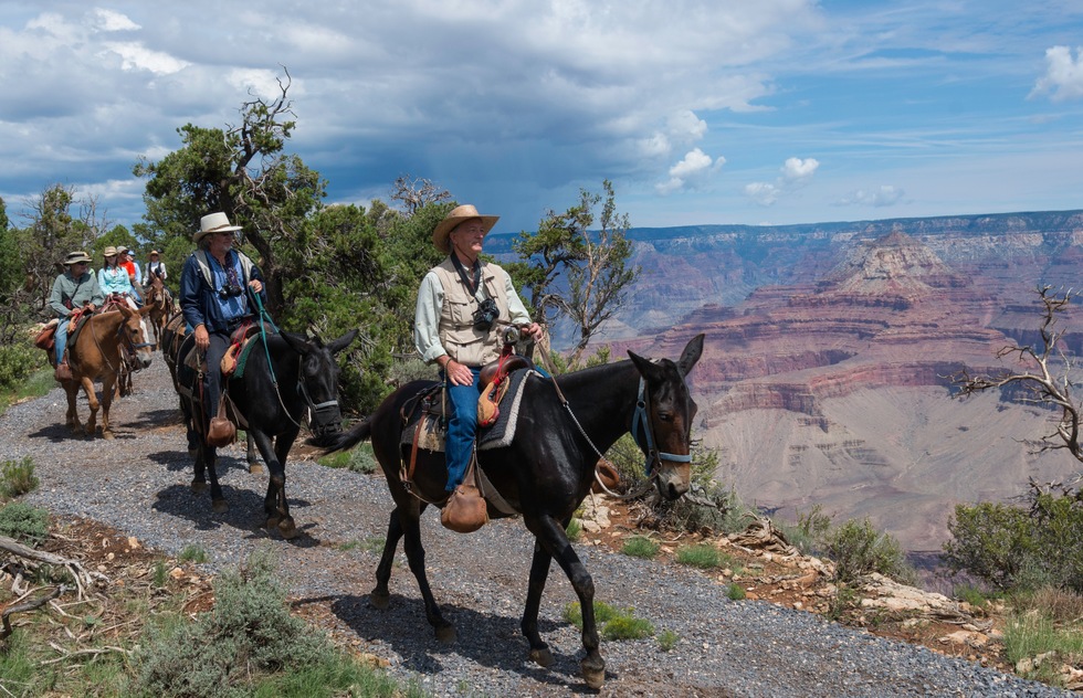 10 Top Grand Canyon Experiences and Tours: Ride a Mule