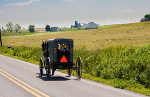 Amish buggy in Lancaster County, Pennsylvania