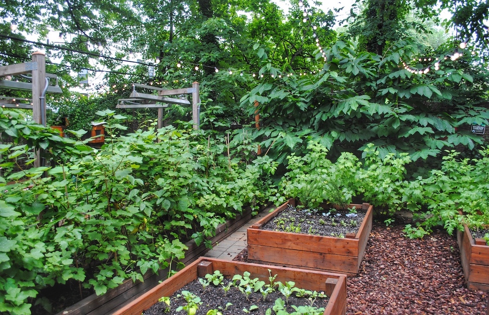 Garden at Olmsted restaurant in Brooklyn