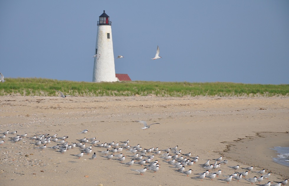Planning the Perfect Nantucket Vacation: Beaches Beyond the Waves