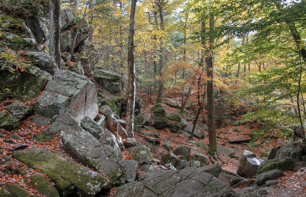 Purgatory Chasm State Reservation in Massachusetts
