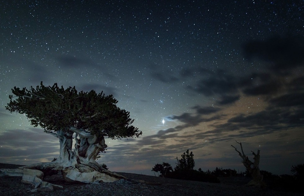 Great Dark Sky Parks for Stargazing: Great Basin National Park, Nevada
