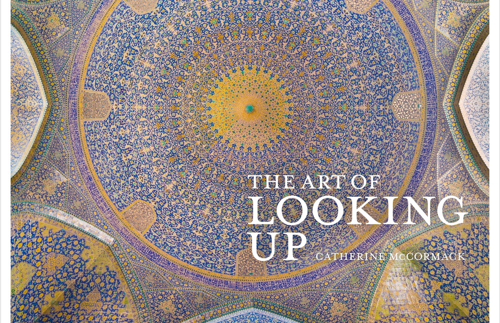 "The Art of Looking Up" by Catherine McCormack