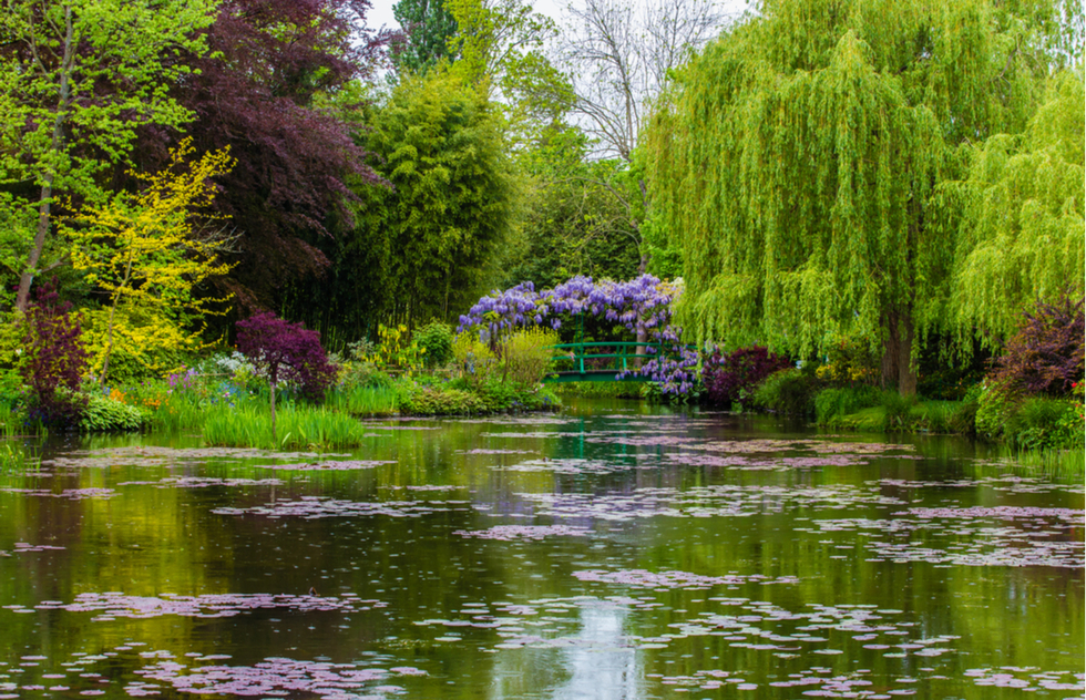 Monet's water garden in Giverny, France
