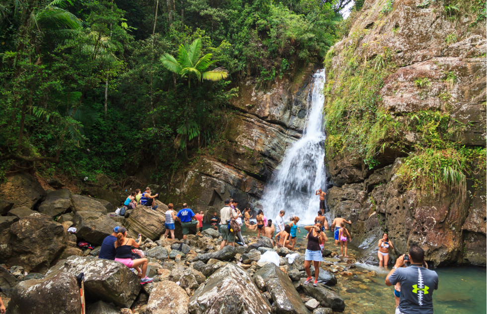El Yunque rainforest in Puerto Rico