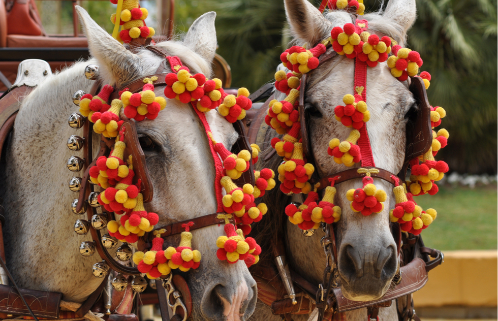Horses at the Feria del Caballo in Jerez de la Frontera, Spain