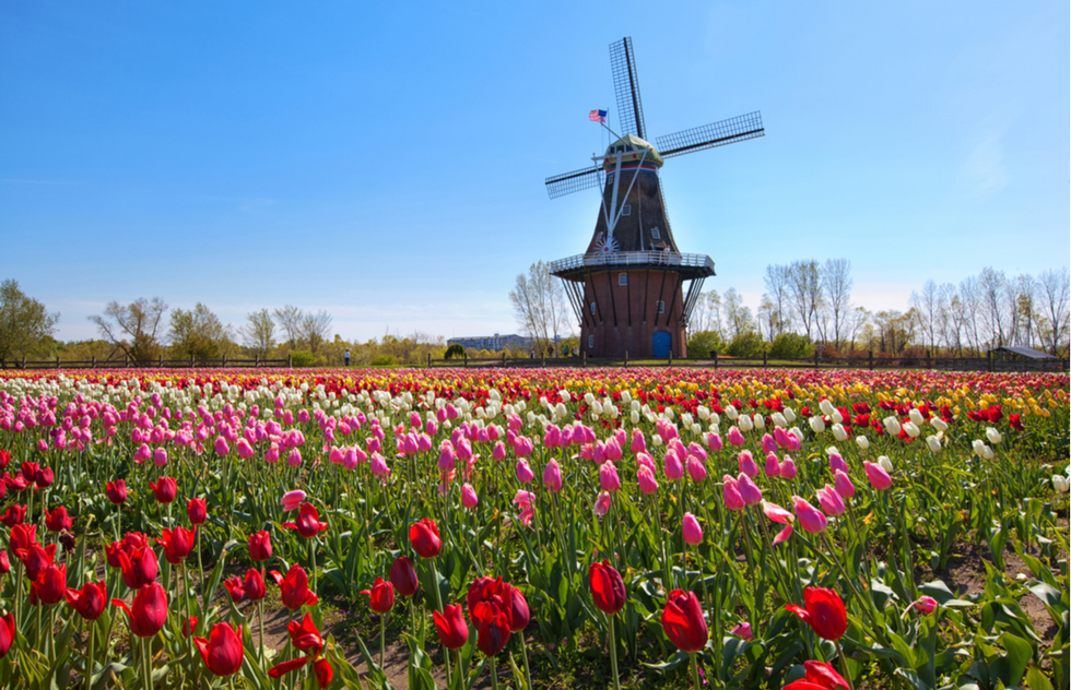 De Zwaan windmill in Holland, Michigan