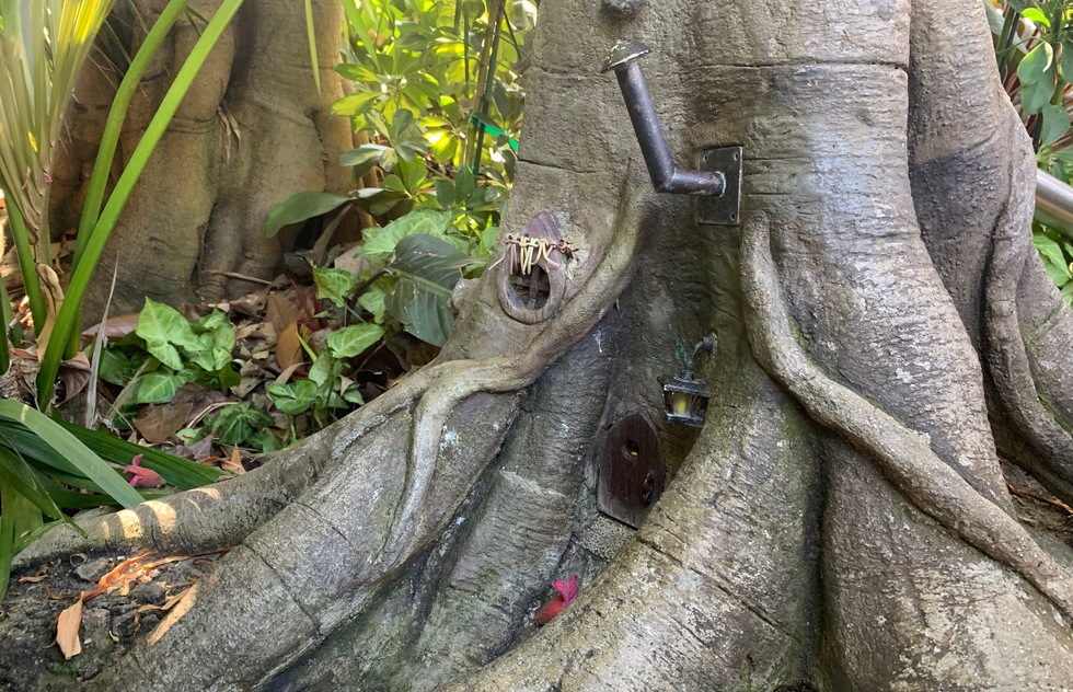 Secrets of Disneyland: Patrick Begorra's tree