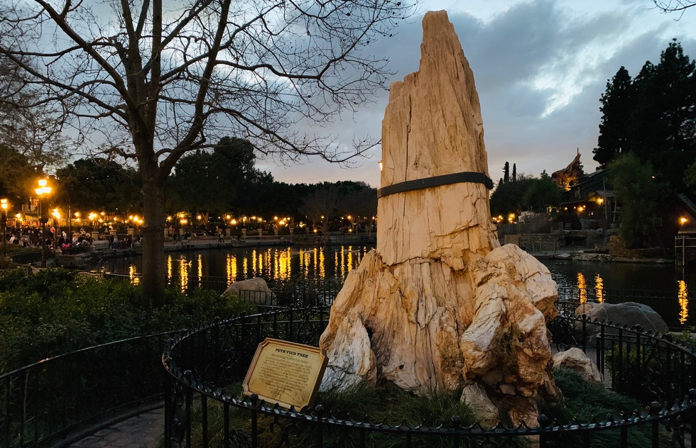 Secrets of Disneyland: The Petrified Tree