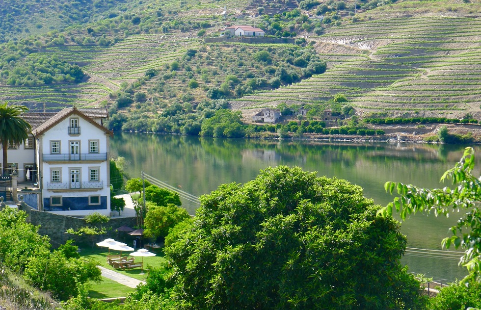 Daytrips and Side Trips near Porto Portugal: The Douro Valley
