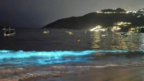 In Acapulco and Worldwide, Bioluminescent Waters are Back | Frommer's