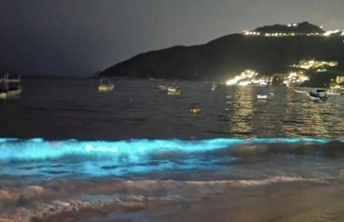 In Acapulco and Worldwide, Bioluminescent Waters Are Back | Frommer's