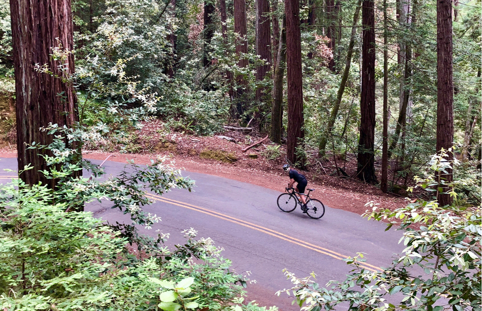 Biking among California's redwoods