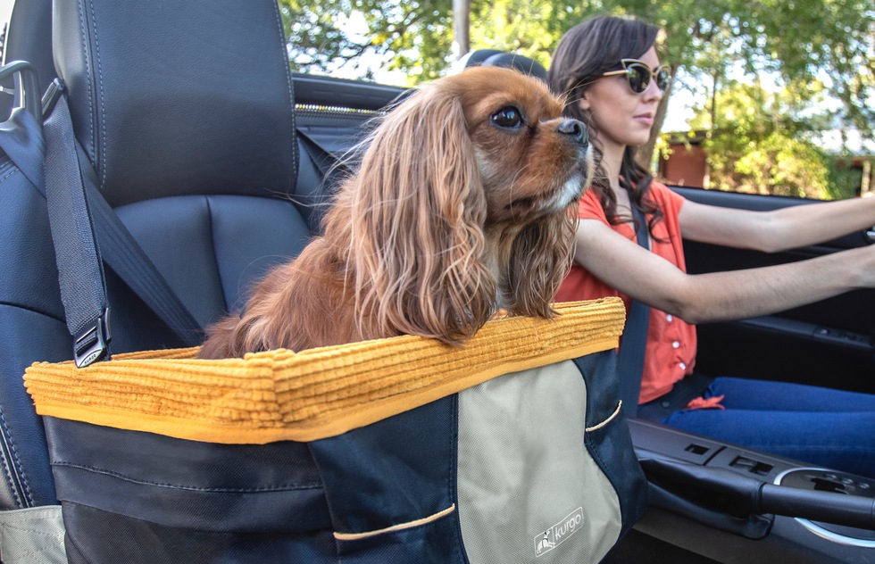 Frommer's Gift Guide: Skybox Dog Booster Seat