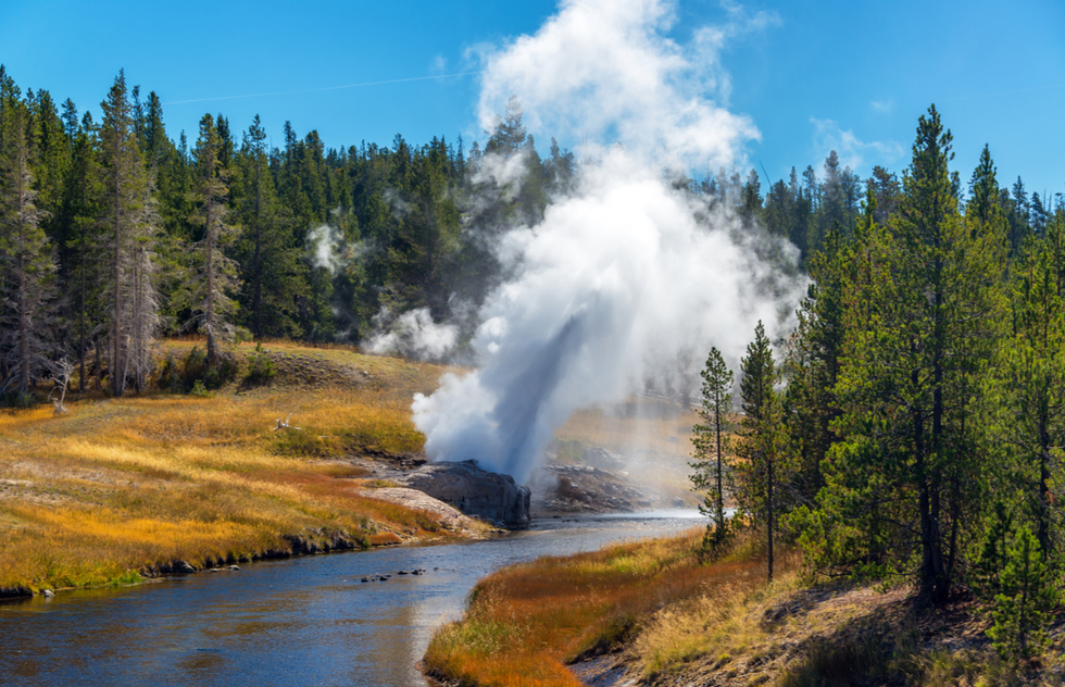 Yellowstone's best geysers: Riverside Geyser