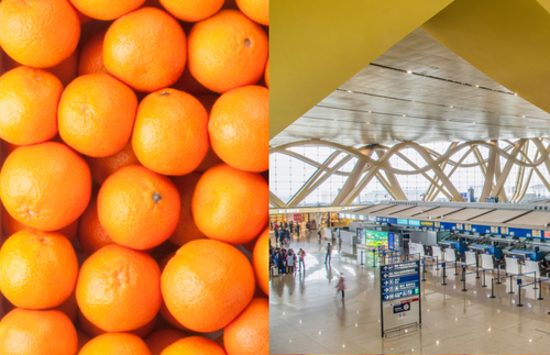 Four Men Eat Crate of Oranges at Chinese Airport to Avoid Excess Baggage Fee | Frommer's
