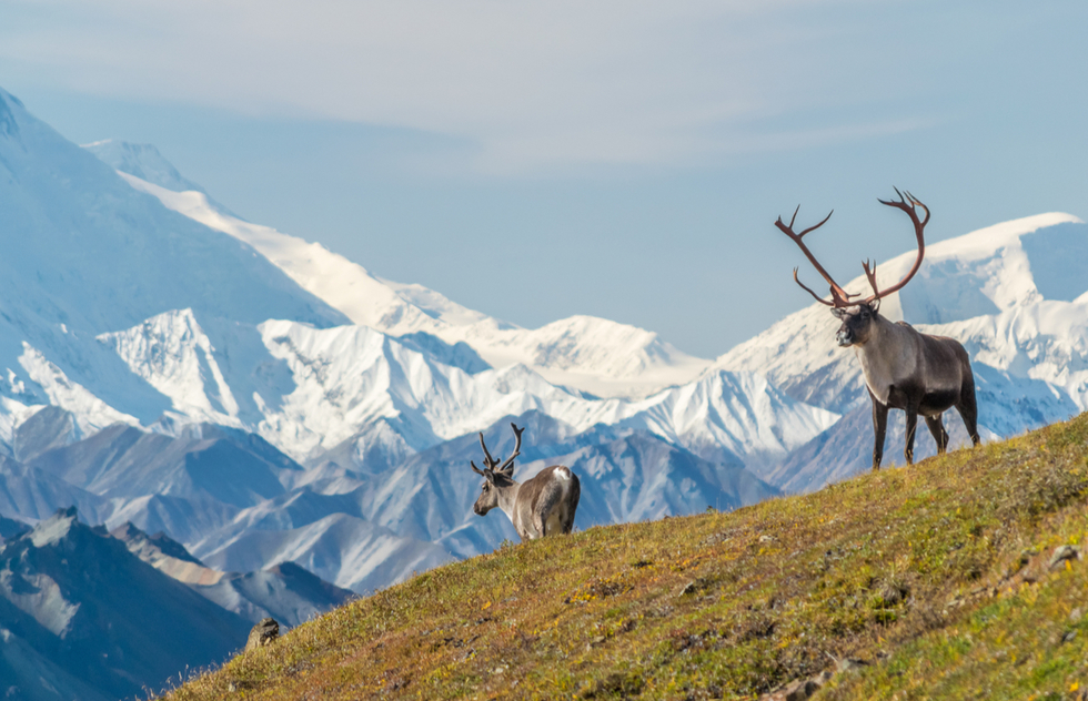 Alaska Opens Up: Visiting No Longer Requires a Negative Covid-19 Test | Frommer's