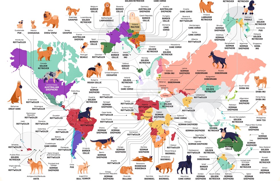 The Most Popular Dog Breeds in the World—Mapped | Frommer's