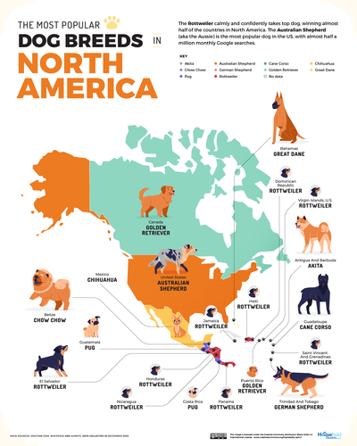 Favorite dogs in North America map