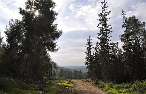 Emmaus Trail in Israel