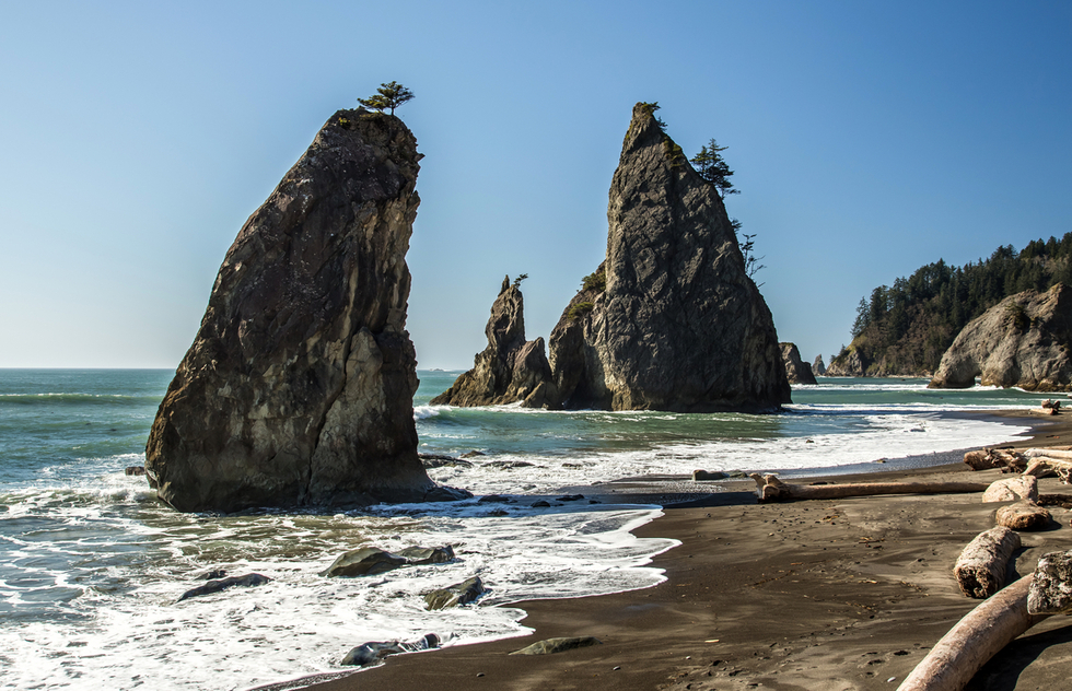 The wild coastline of Olympic National Park.