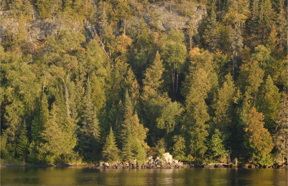 A view of the densely forested shoreline of Isle Royale in Michigan