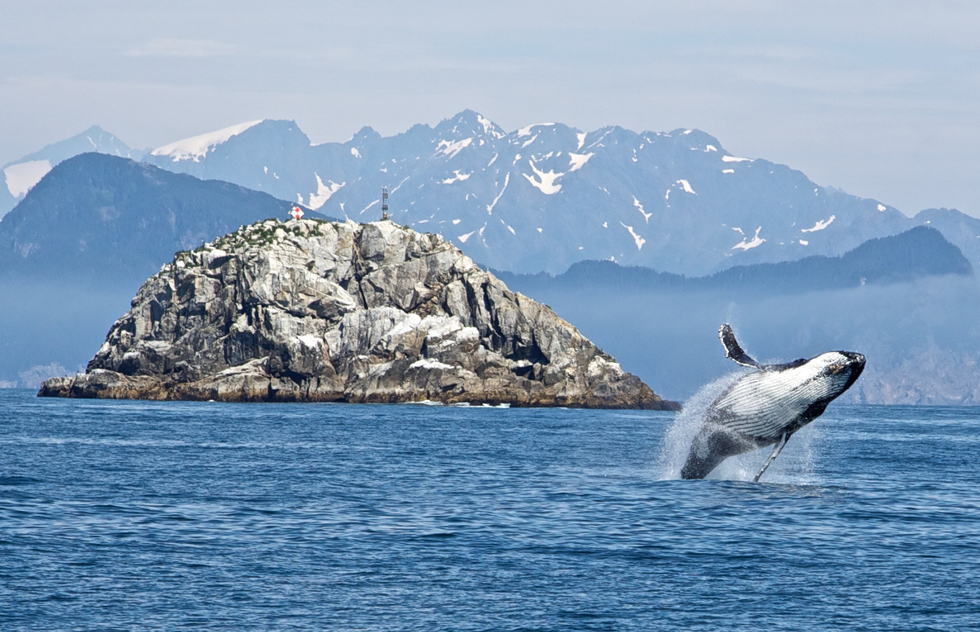 Best whale watching in USA: Kenai Fjords National Park in Alaska