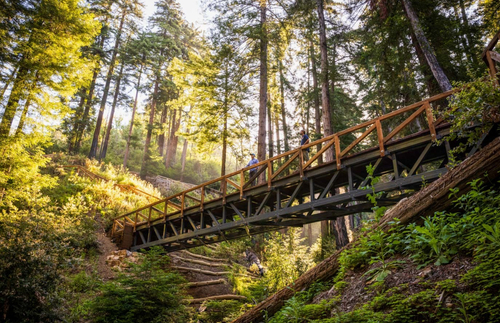 A Favorite Hike Through California Redwoods Is Back After More Than a Decade | Frommer's