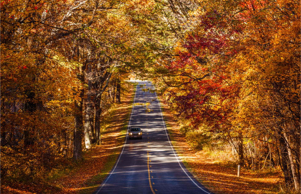 The fall's best American national parks: Skyline Drive in Shenandoah National Park, Virginia