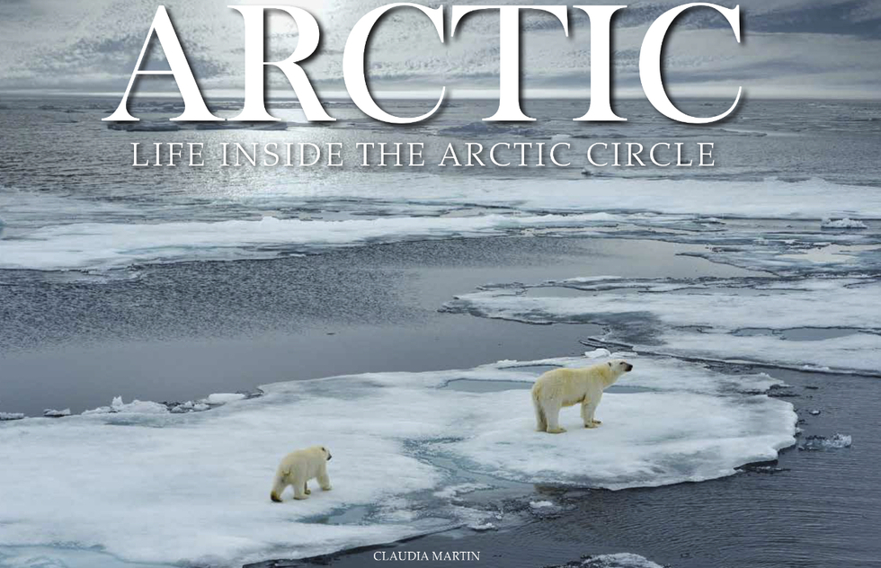 Cover of "Arctic" by Claudia Martin, published by Amber Books Ltd